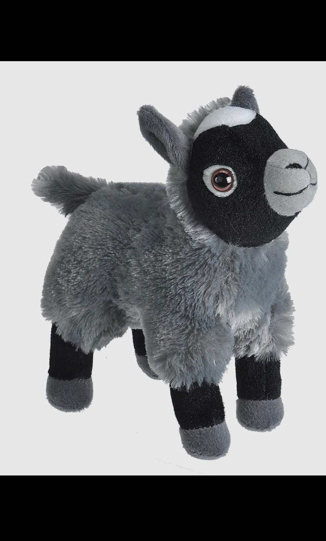 Goat stuffy