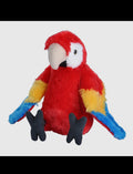Macaw