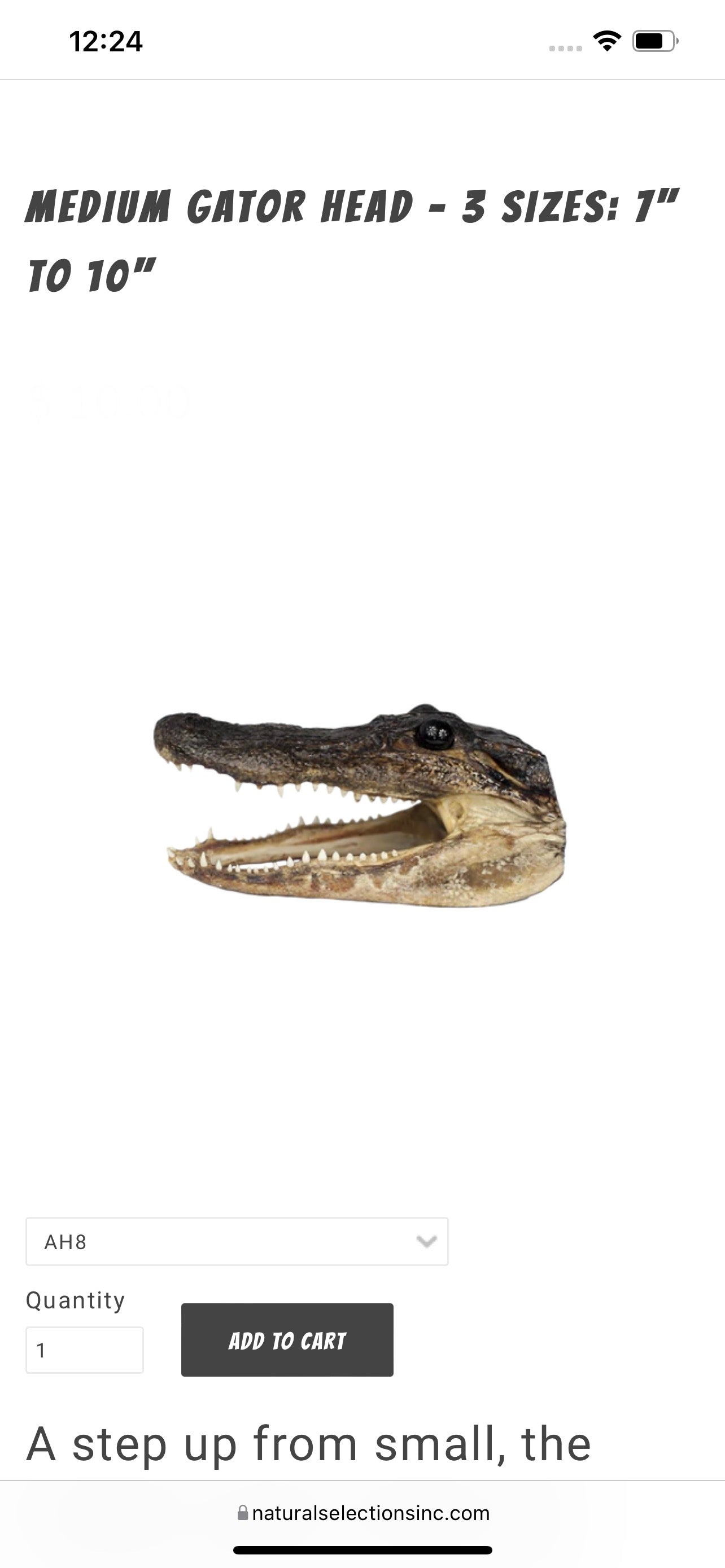 Gator head 8”-9”