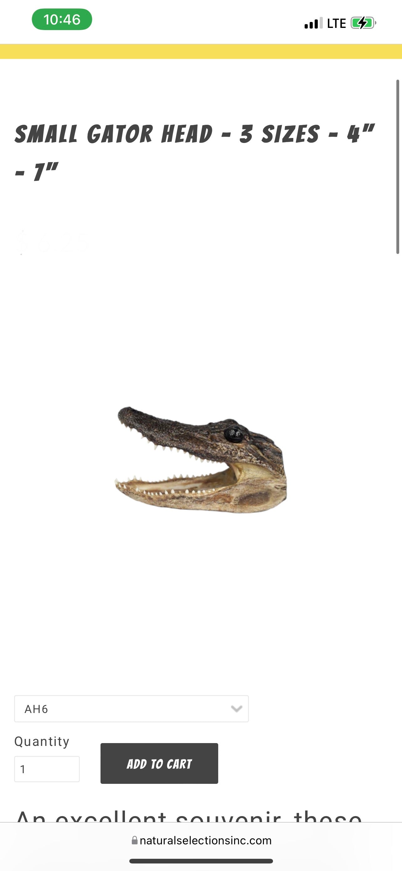 Gator heads 5”-6”